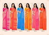 Star Chiffon 213 By Ruchi Chiffon Casual Wear Saree Exporters In India